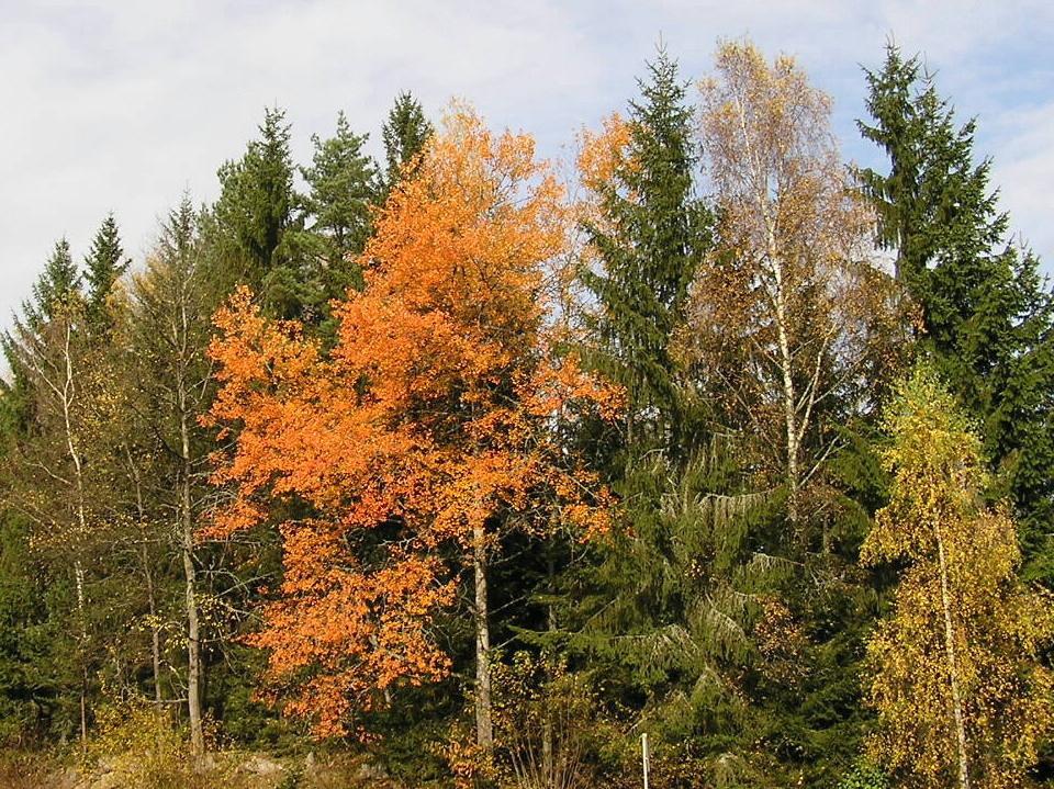 Vila Laterna Přední Výtoň Bagian luar foto